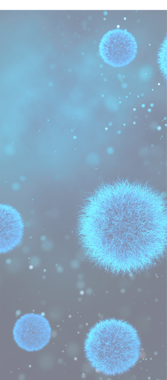 captacion-de-toxinas-nutricion-animal