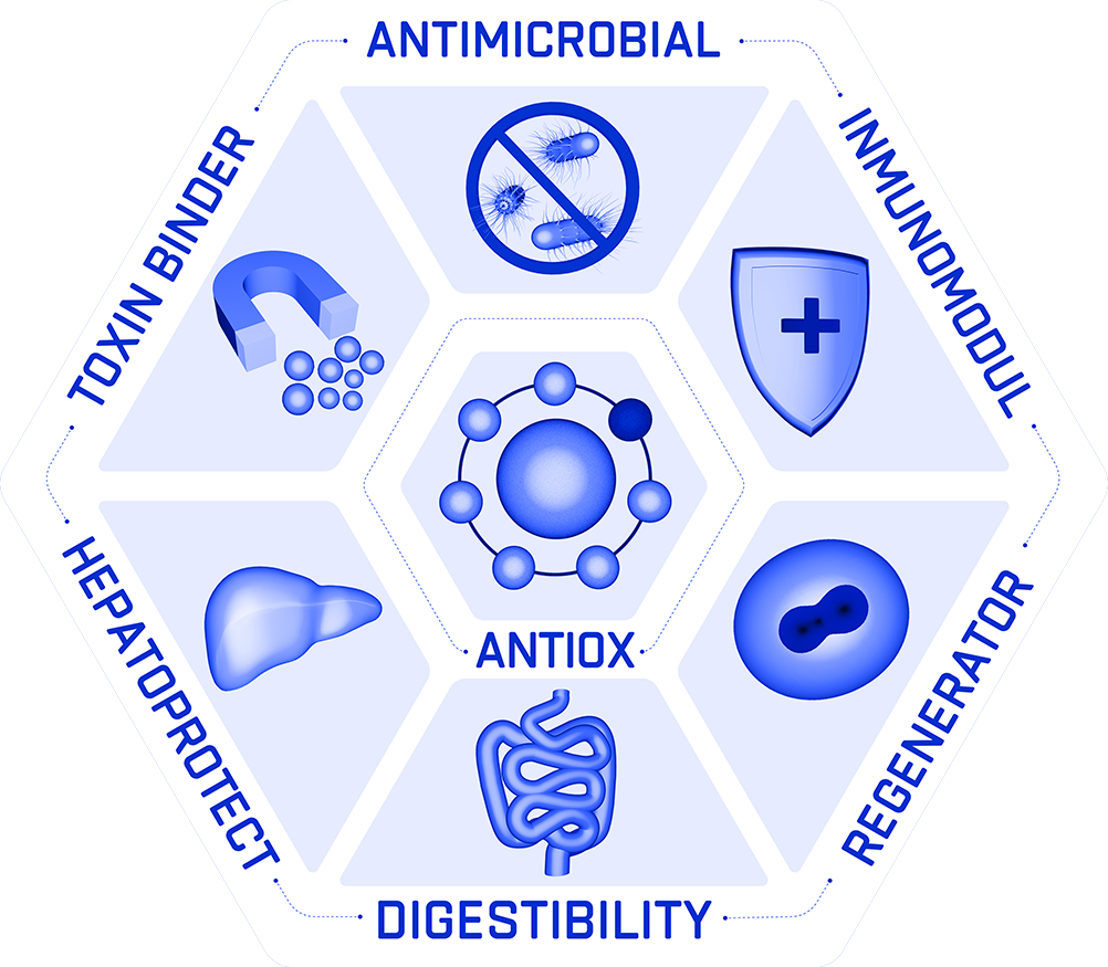 hexagono-holistico-biotecnologia-y-nutricion