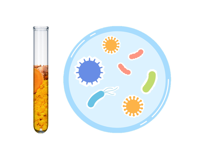 Antimicrobial Curcumin