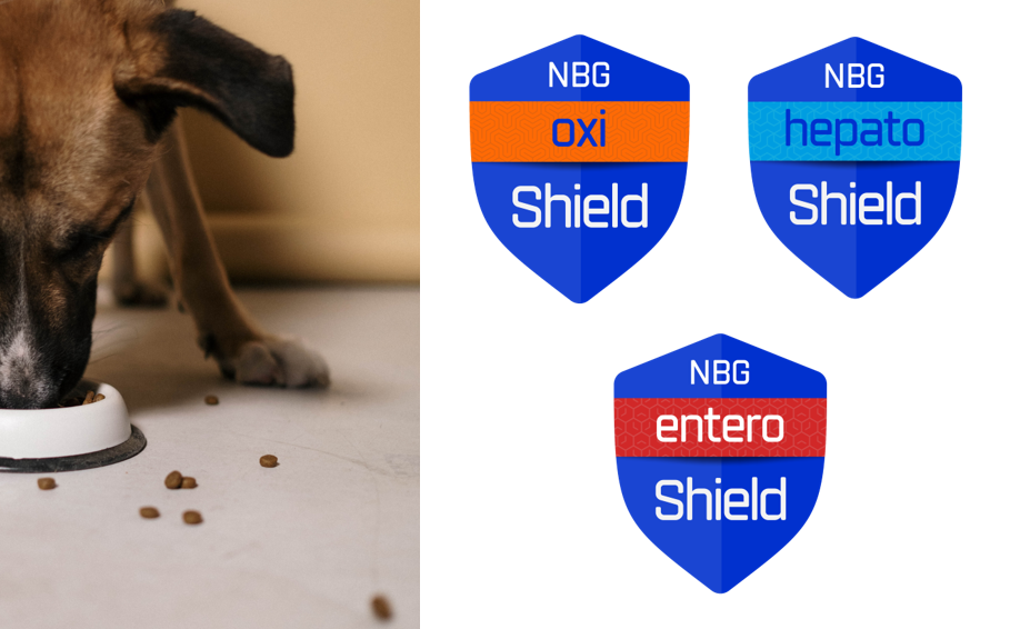 Perro comiendo y productos shield