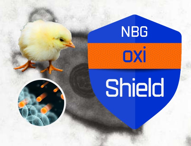 NBG OxiShield Micoplasma