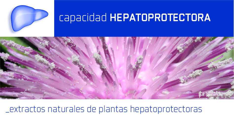 CAPACIDAD HEPATOPROTECTORA