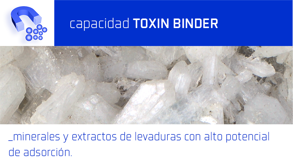 CAPACIDAD TOXIN BINDER