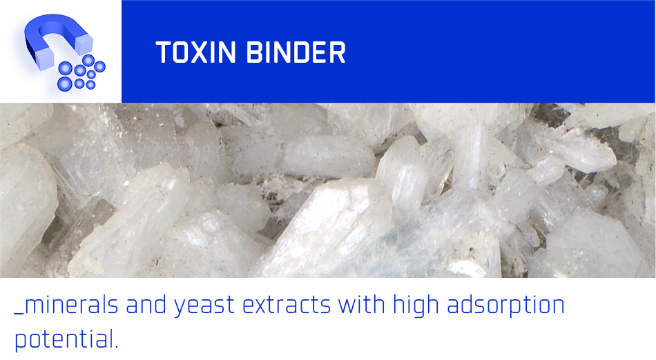 toxin binder