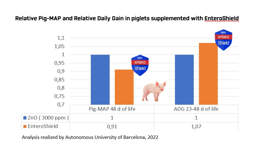 Pig MAP