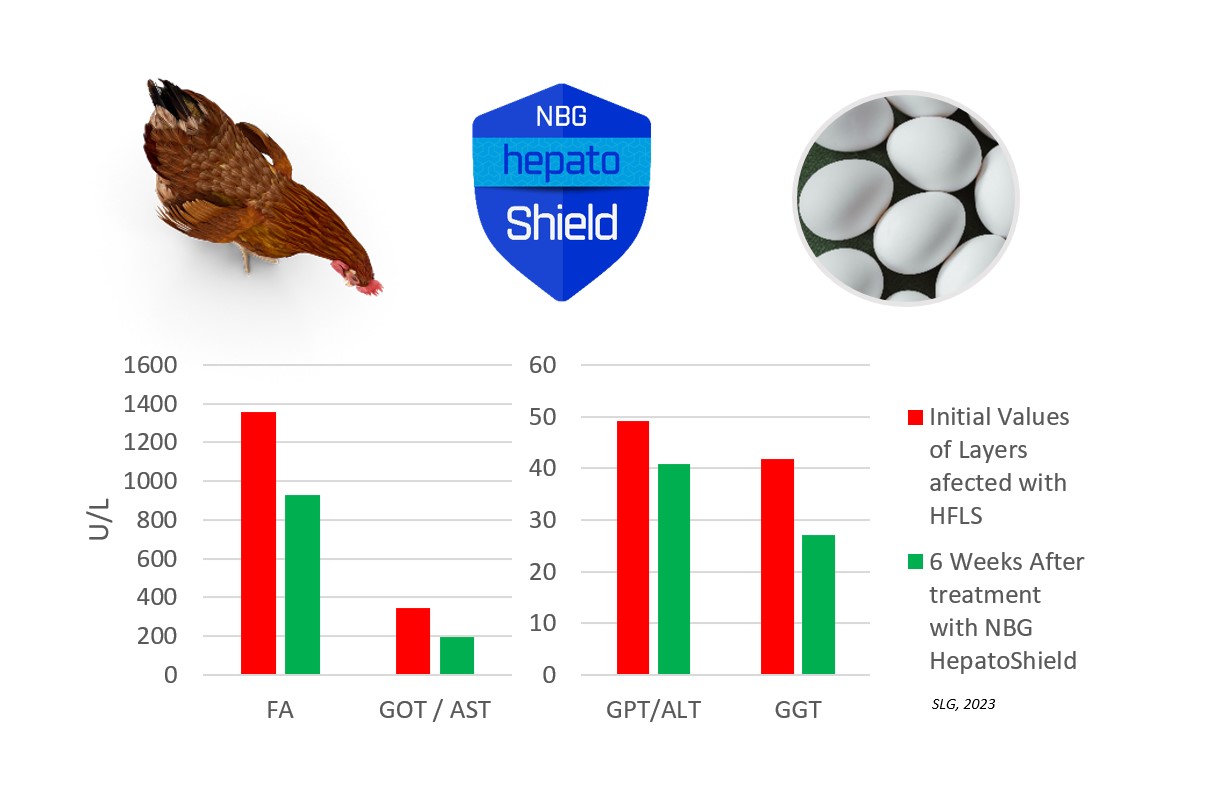 HepatoShield HFLS and Layers