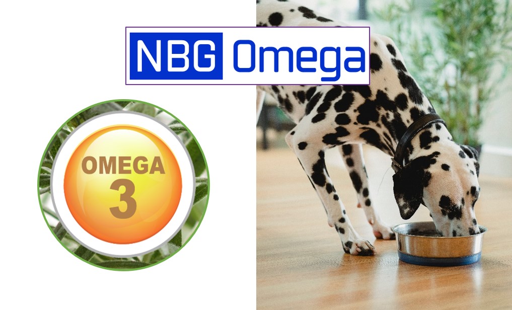 NBG Omega 3 Mascotas