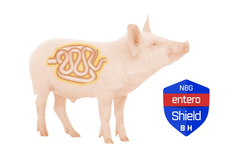 Colitis Enteroshield-BH