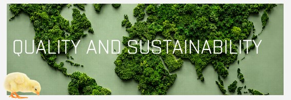 Quality and sustainability