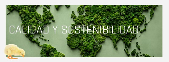 Calidad y Sostenibilidad