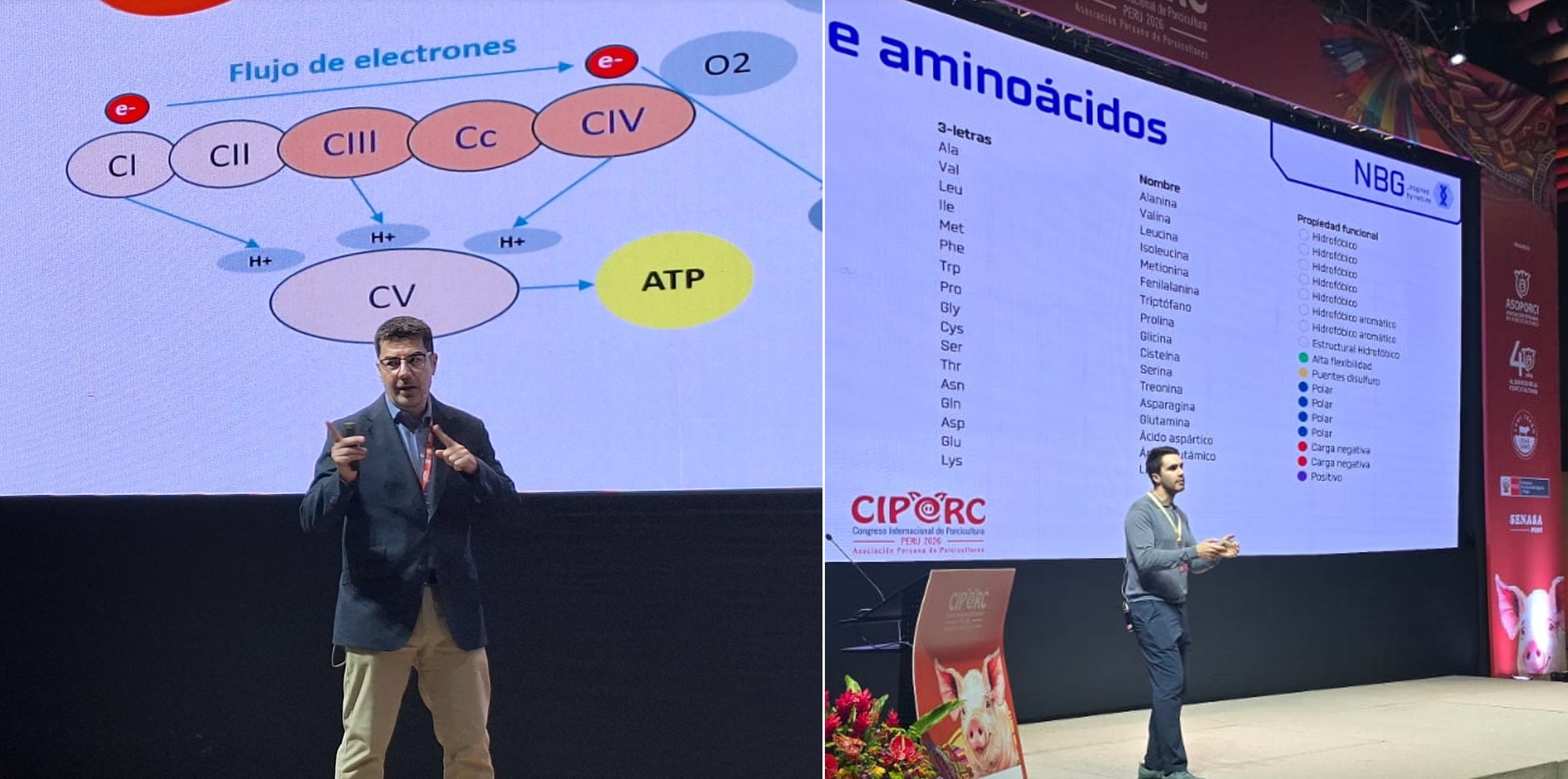 Conference Ciporc 2026