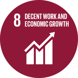 SDG 8 - Decent Work and Economic Growth