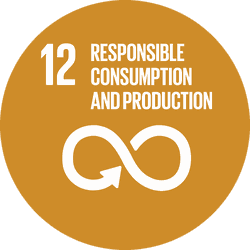 SDG 12 - Responsible Consumption and Production