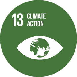 SDG 13 - Climate Action